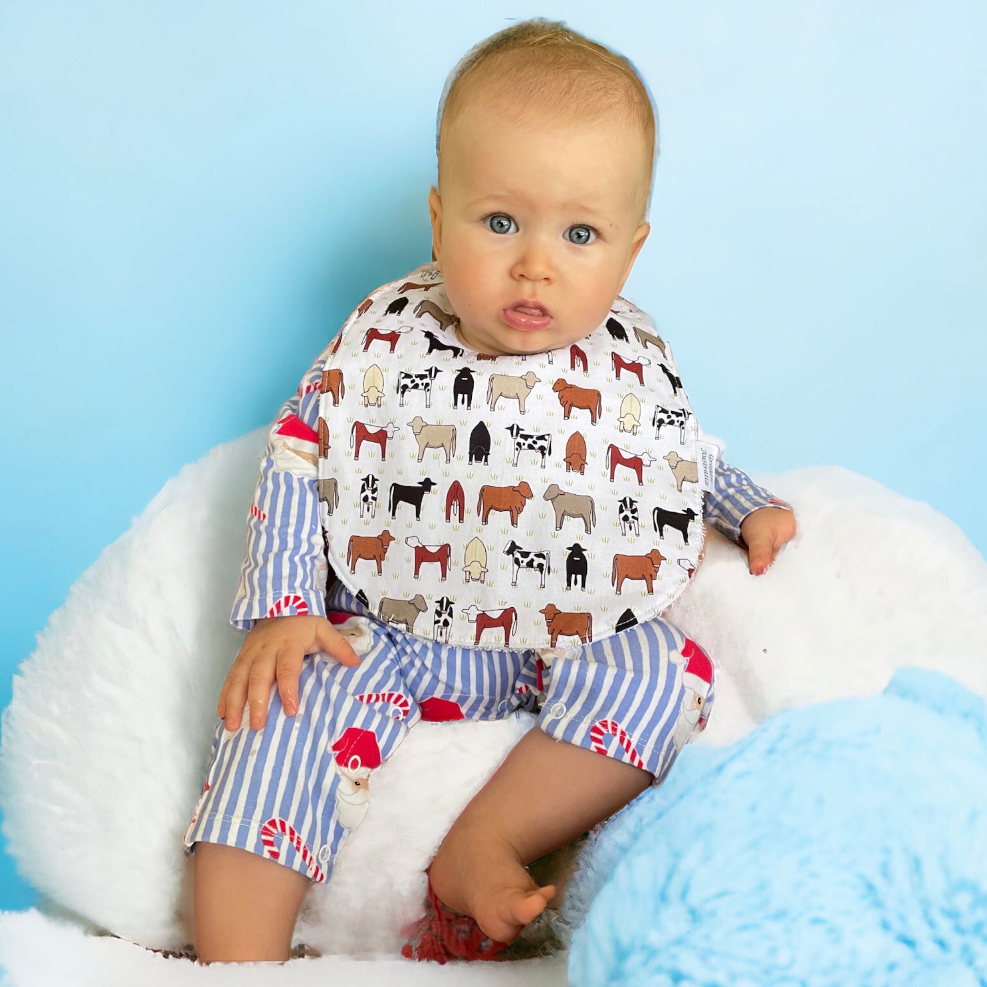 BABY BOY Bibs (Multiple Choice)