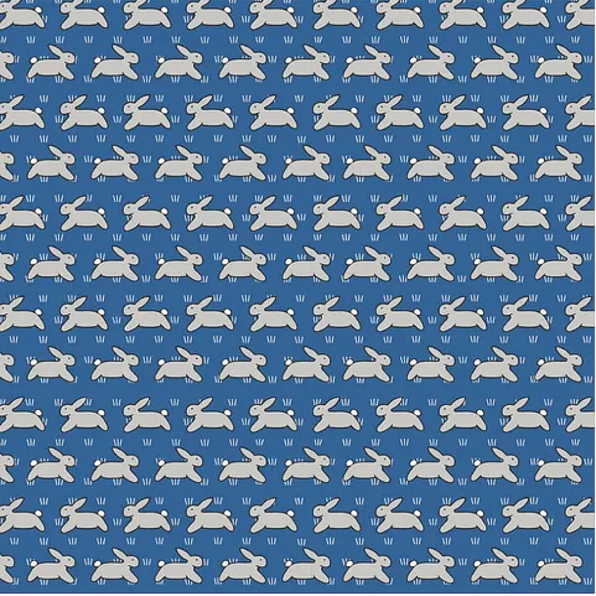 BABY BOY Bibs (Multiple Choice)