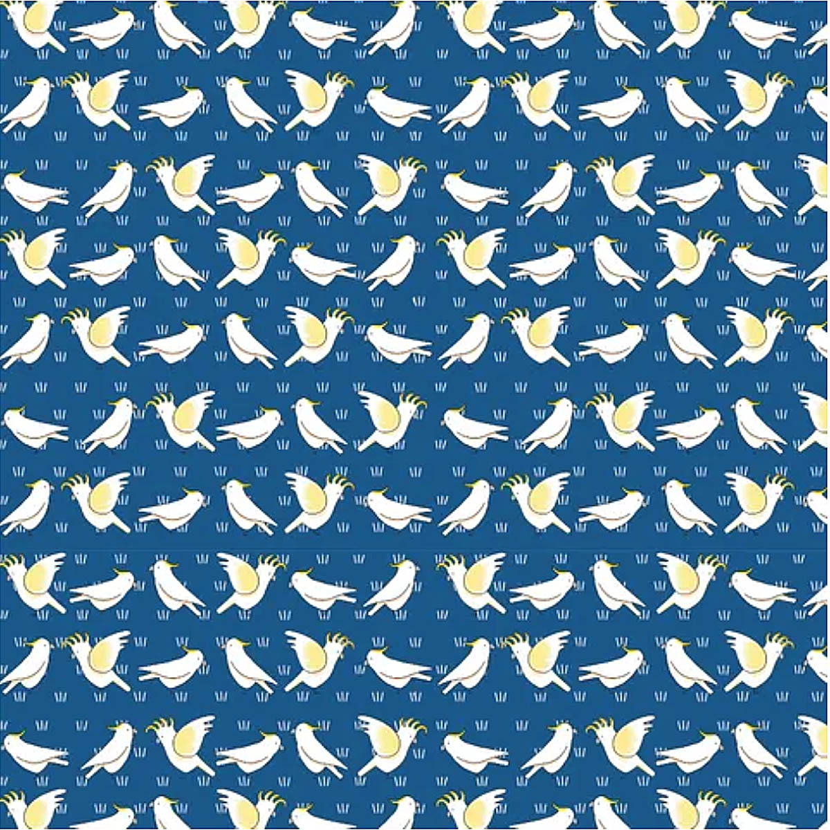 BABY BOY Bibs (Multiple Choice)
