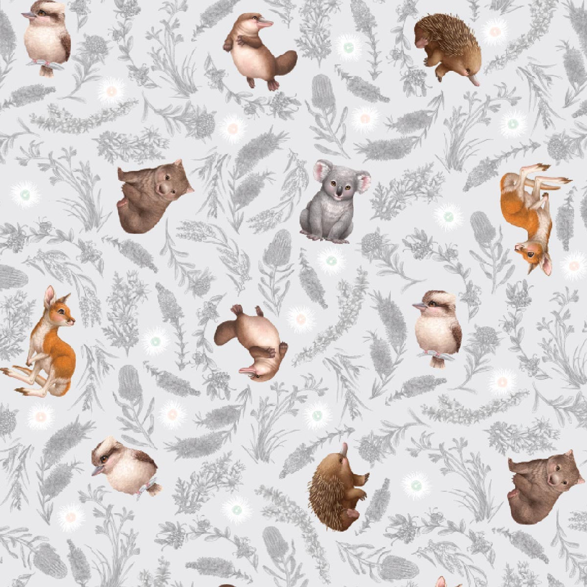 BABY BOY Bibs (Multiple Choice)
